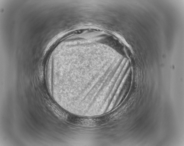 X0000087401167200705111818