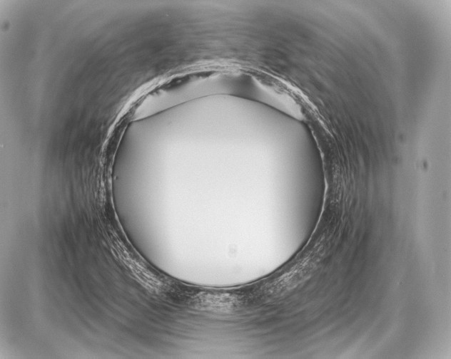 X0000087401168200705111818