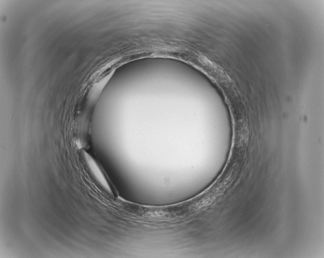 X0000087401169200705111818