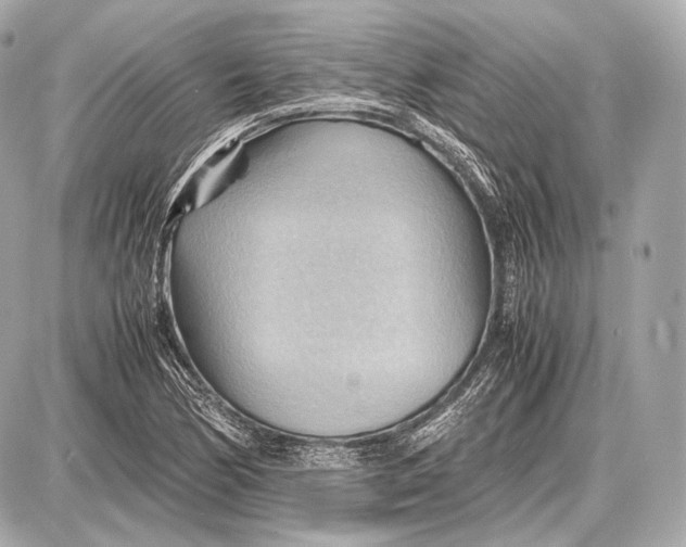 X0000087401170200705111818