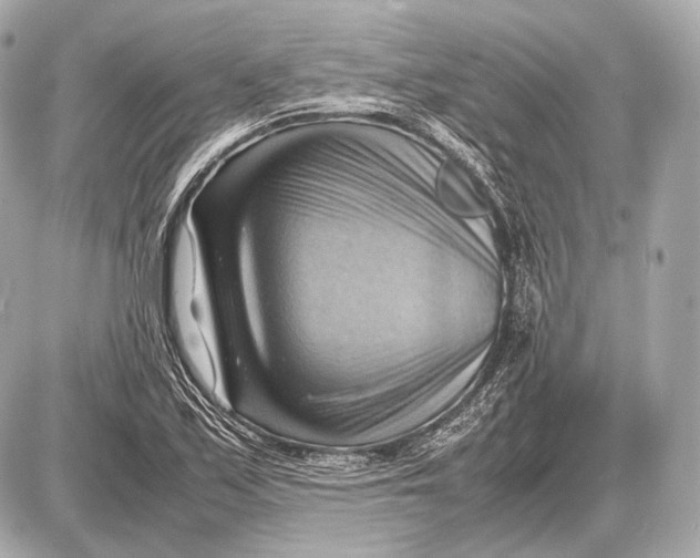 X0000087401171200705111818