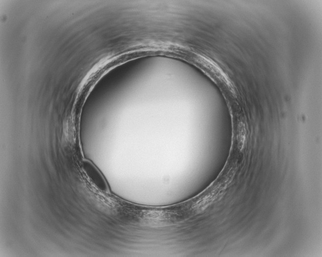 X0000087401172200705111818