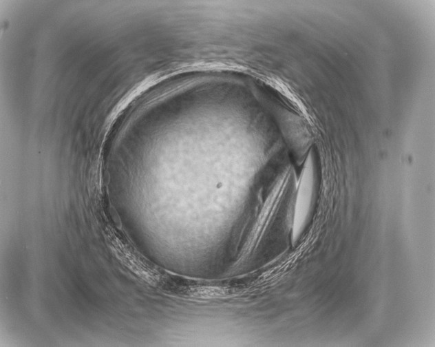 X0000087401173200705111818