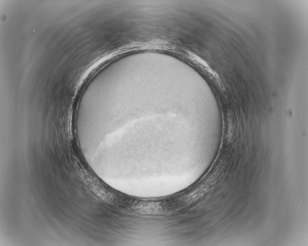 X0000087401174200705111818