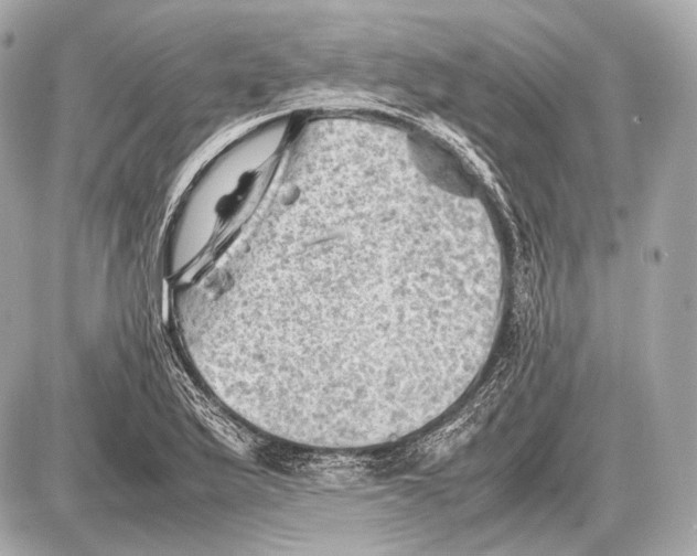 X0000087401175200705111818