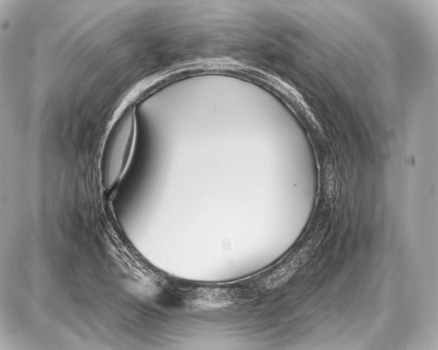 X0000087401176200705111818