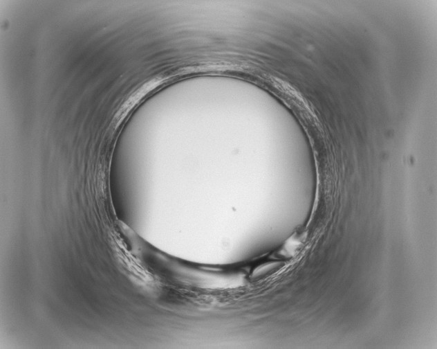 X0000087401177200705111818