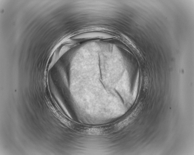 X0000087401178200705111818