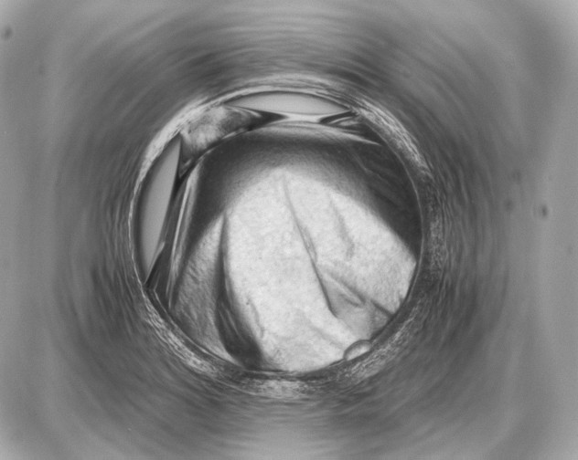 X0000087401180200705111818