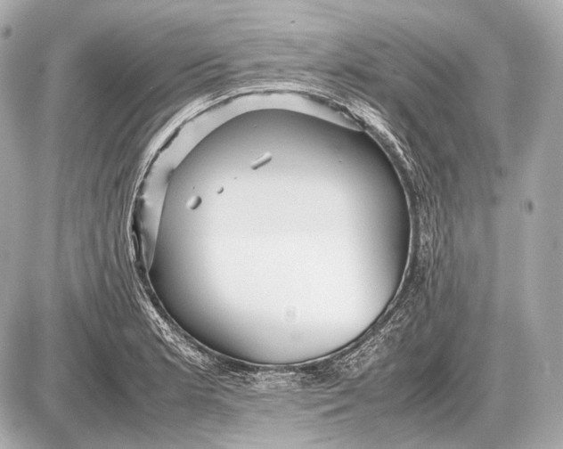 X0000087401181200705111818