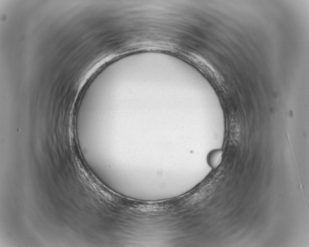 X0000087401182200705111818