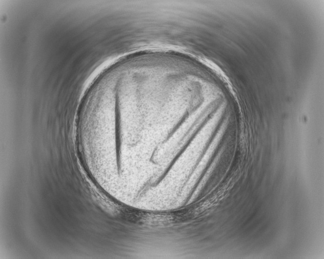 X0000087401183200705111818