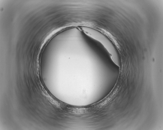 X0000087401184200705111818