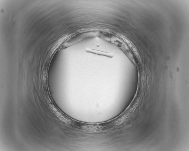 X0000087401185200705111818