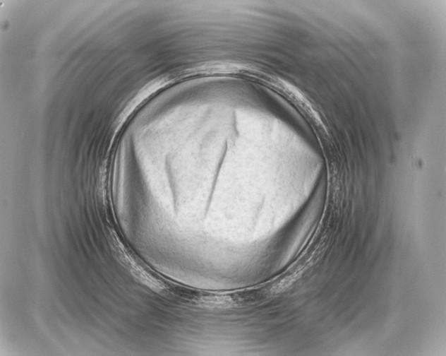 X0000087401186200705111818