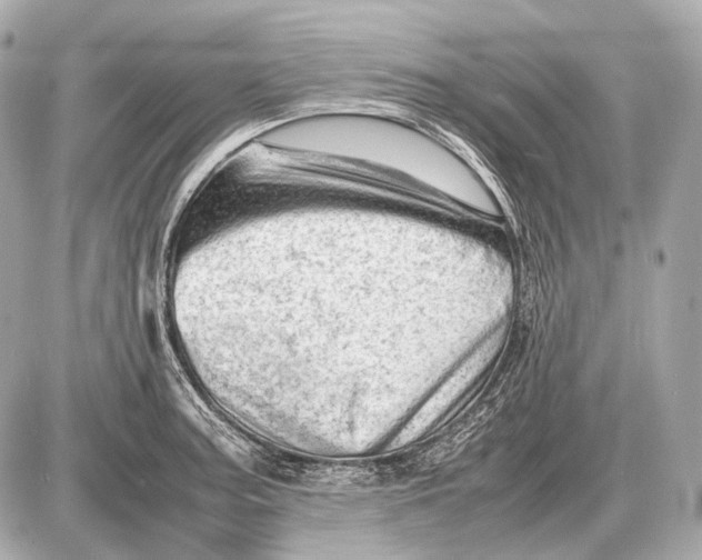 X0000087401187200705111818