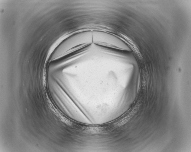 X0000087401188200705111818