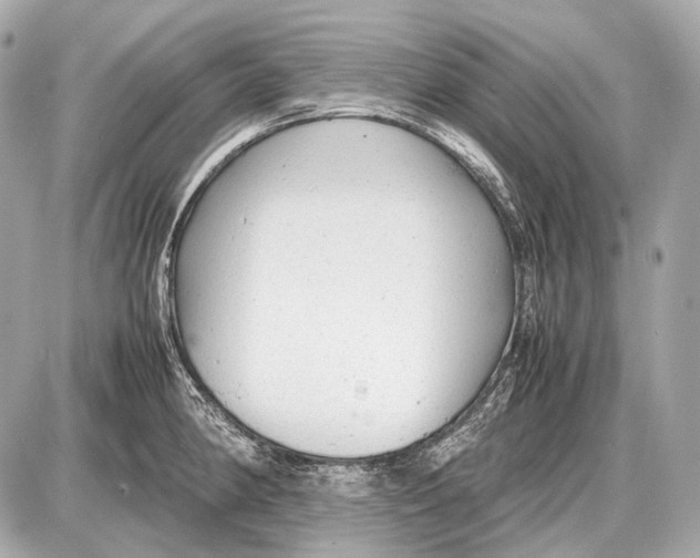 X0000087401190200705111818