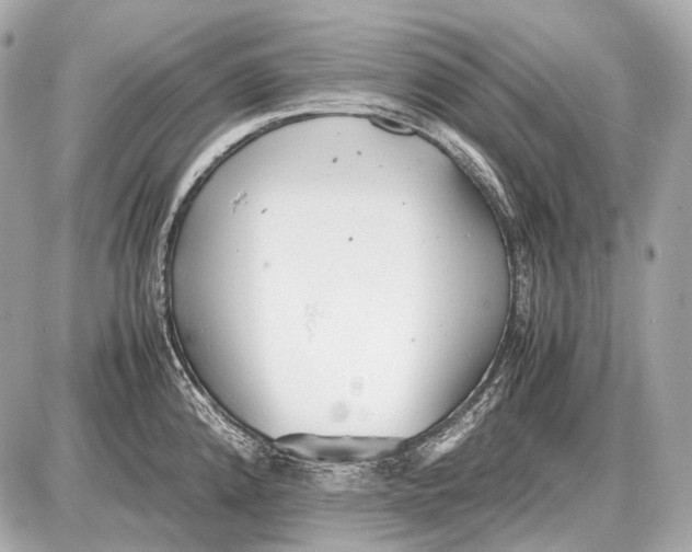 X0000087401192200705111818