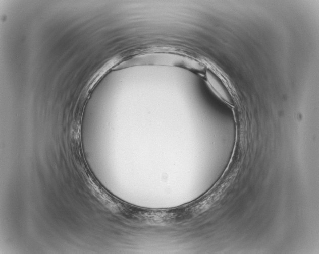 X0000087401193200705111818