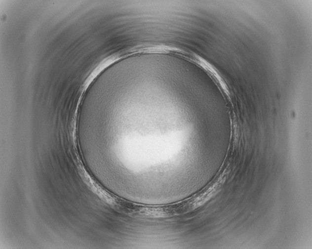 X0000087401194200705111818