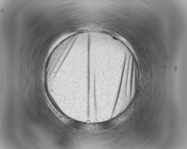 X0000087401195200705111818