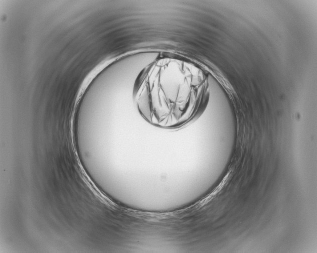 X0000087401196200705111818