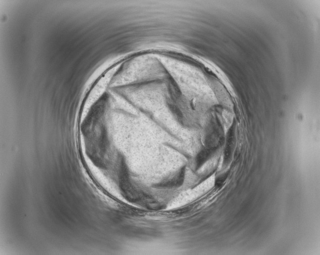 X0000087401199200705111818