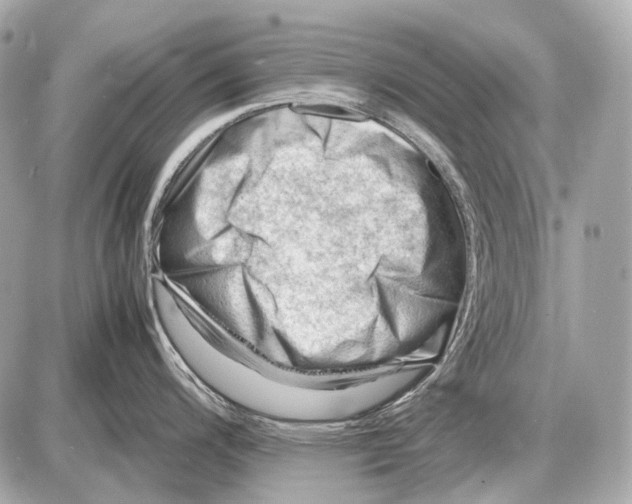 X0000087401200200705111818