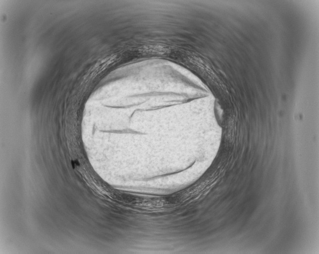 X0000087401201200705111817