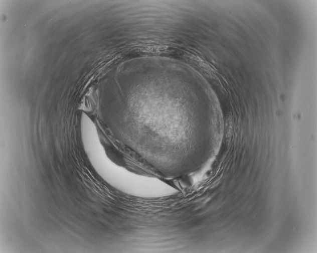 X0000087401202200705111817