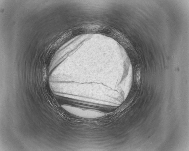 X0000087401204200705111817