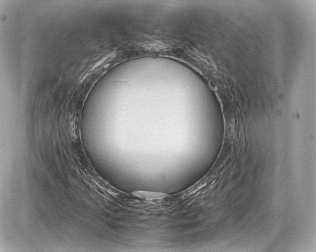 X0000087401205200705111817