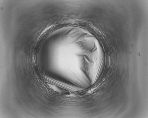 X0000087401206200705111817