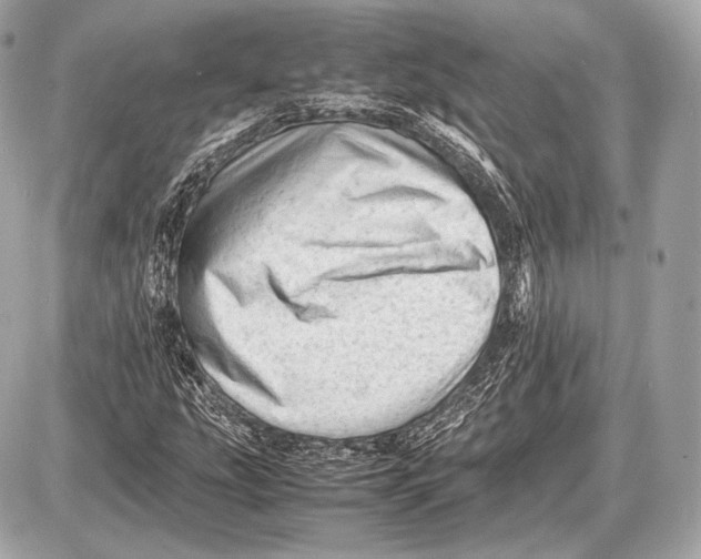 X0000087401207200705111817