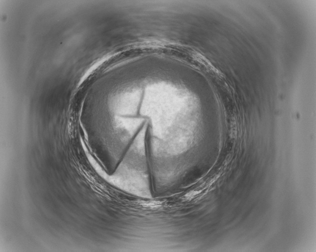 X0000087401208200705111817