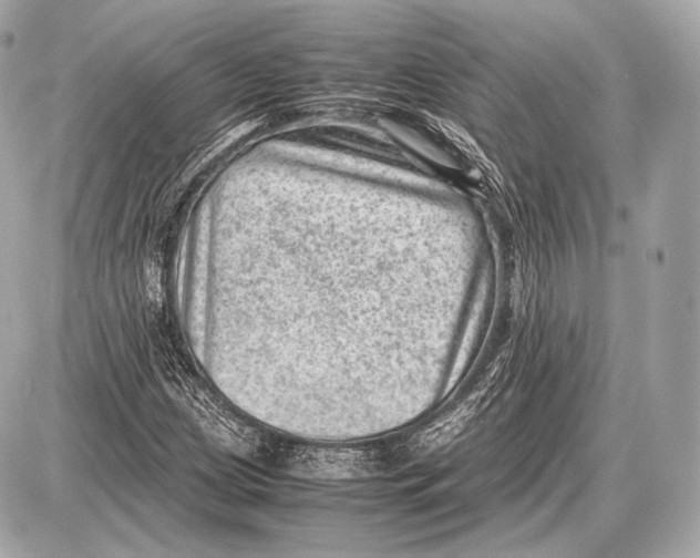 X0000087401209200705111817