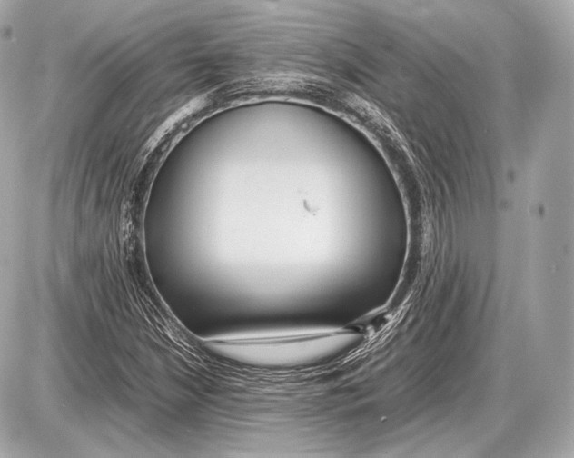 X0000087401210200705111817