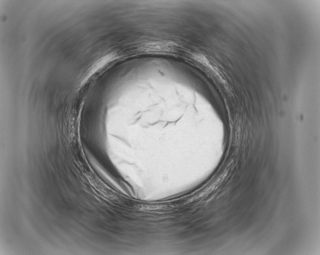 X0000087401211200705111817