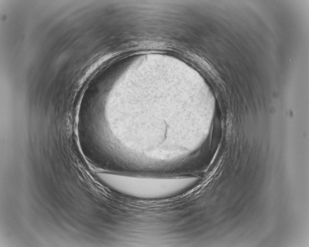 X0000087401212200705111817