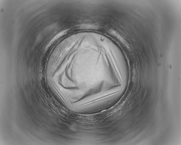 X0000087401213200705111817