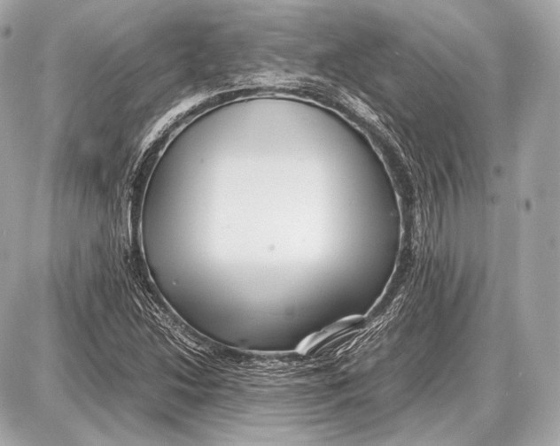 X0000087401214200705111817