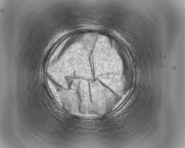 X0000087401215200705111817