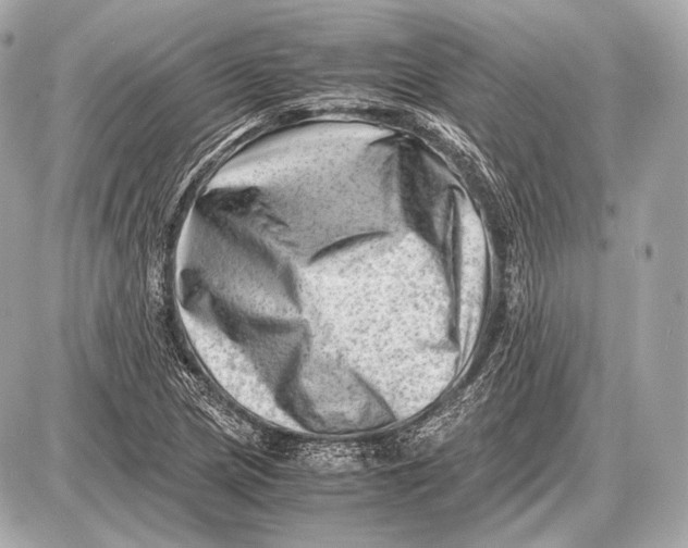 X0000087401217200705111817