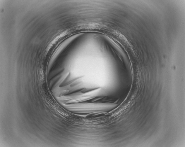 X0000087401218200705111817