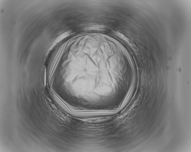 X0000087401219200705111817