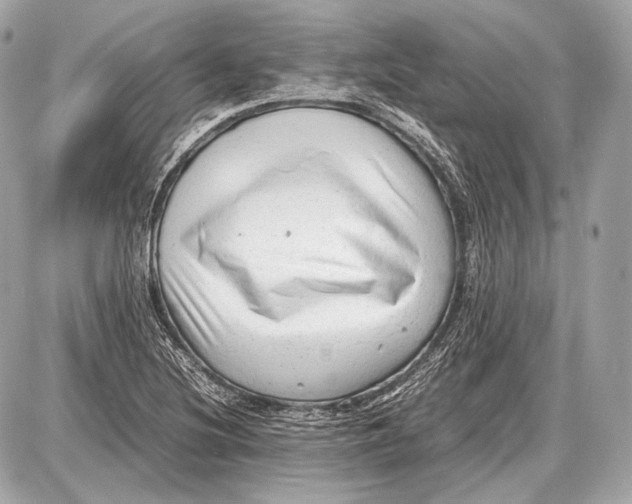 X0000087401220200705111817