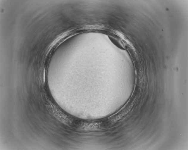 X0000087401221200705111817