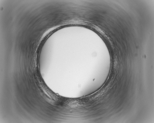 X0000087401222200705111817