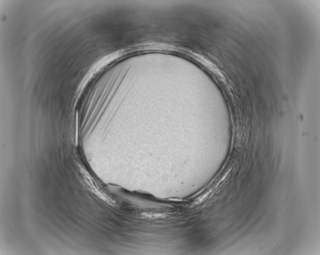 X0000087401223200705111817